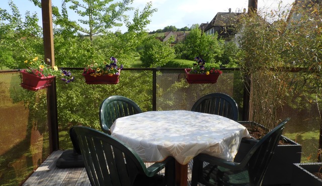 3 * cottage with terrace suspended in the heart of the vineyards