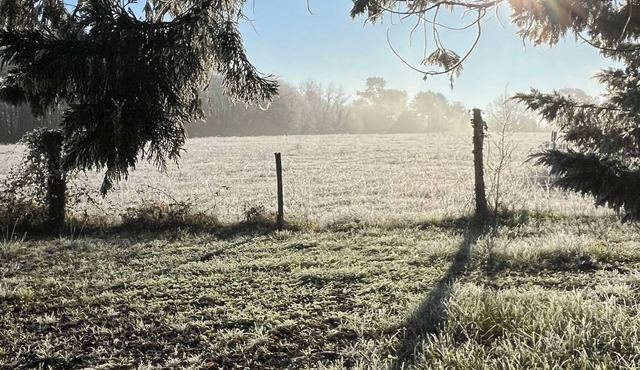 3 country houses. Chestnut 6 pers Clove 2 pers Hazelnut 6 pers.