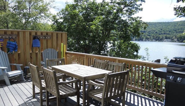 3 Ducks on a Lake - New Renovation on Goodyear Lake