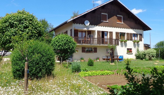 3 fir trees - 3 star apartment