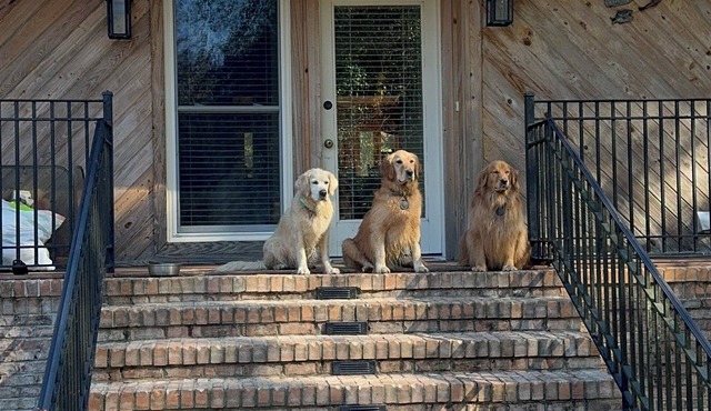 "3 Goldens"- A Spacious farmhouse with beautiful 10 acre lake in Hope Hull, Al