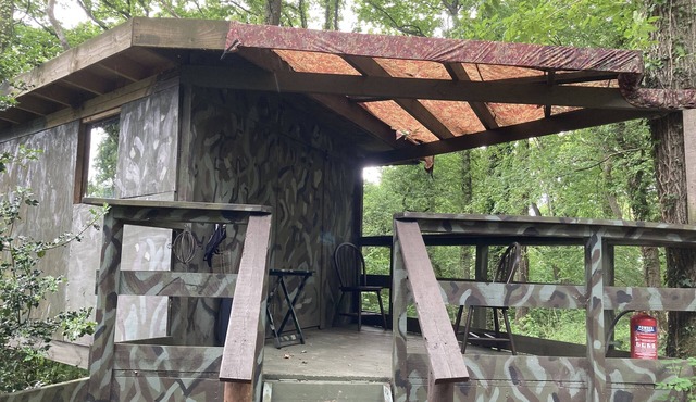 3 Guests - Pet Friendly - Grid Tree-House