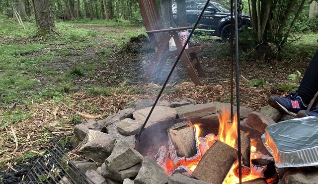 3 Guests - Pet Friendly - Grid Tree-house