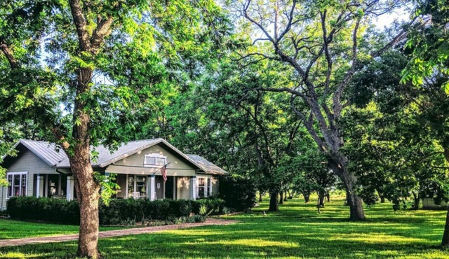 3 Houses 30 guests Country 14 acre Pecan Orchard