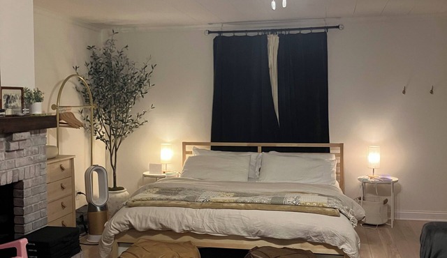 3 King Beds and one Twin size bed Entire Home Near Ball State & Hospital