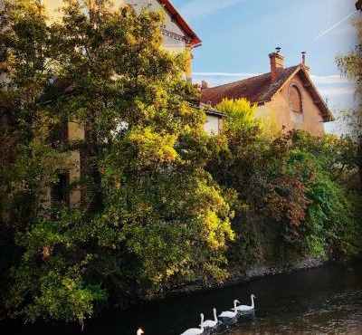 3 lofts dans Minoterie Industrielle