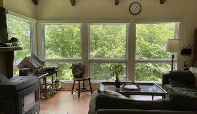 3 min to Sugar Mtn: Modern cabin nestled in the trees - The Sugar Cube
