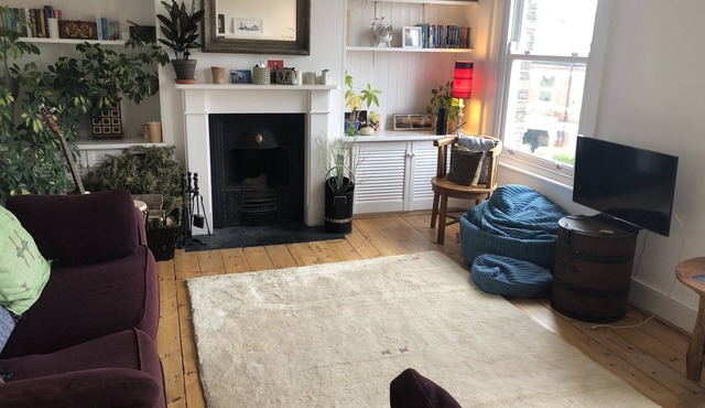 3 Month let in Very Large Garden Flat in Funky Peckham Rye
