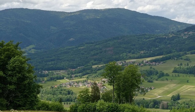 3-person apartment in detached house
