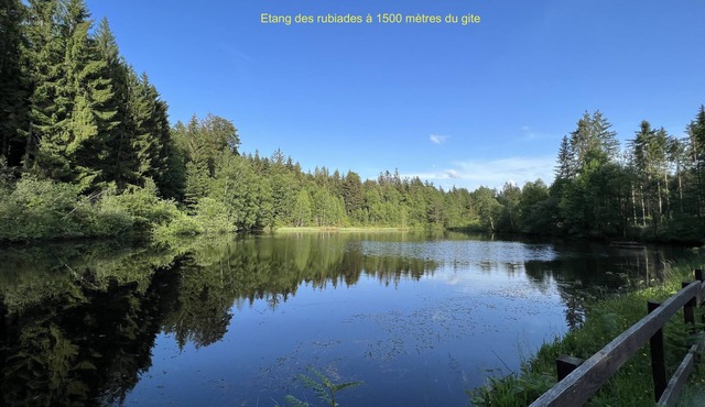 3-person gite on the edge of a forest near hiking trails