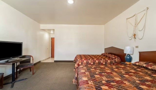 3 Pet-Friendly Rooms Near Downtown Brownsville Attractions