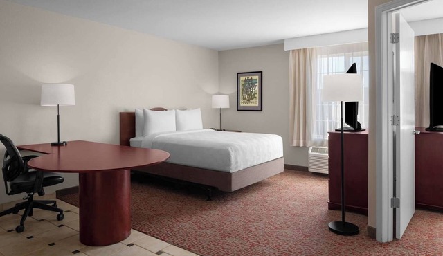 3 Pet-Friendly Suites Near Cal State Sacramento – Perfect for Relaxation