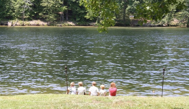 3 private properties, Solar Eclipse, water front, hot tub, new reno, pics coming