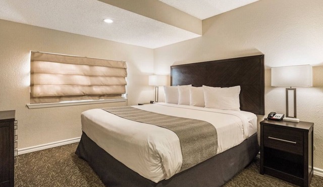 3 Relaxing Suites! Breakfast, Outdoor Pool, Free Parking, Pets Are Welcome!