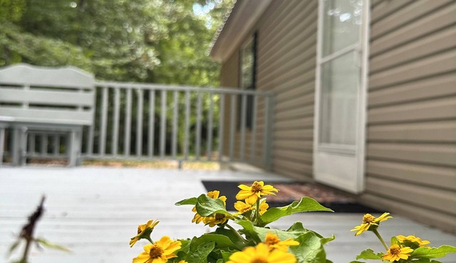 3 Rivers Crystal Cabin 3 Bedrooms 2 Bathrooms ~ Nature Lovers Only