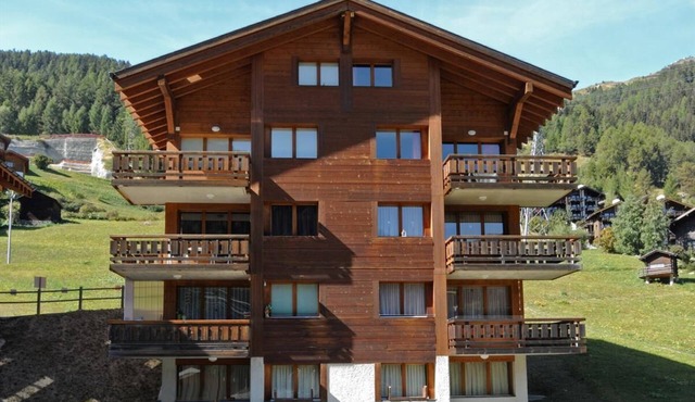 3-room apartment for 5 persons : Living room with 1 sofa-bed - kitchen with dishwasher and microwave