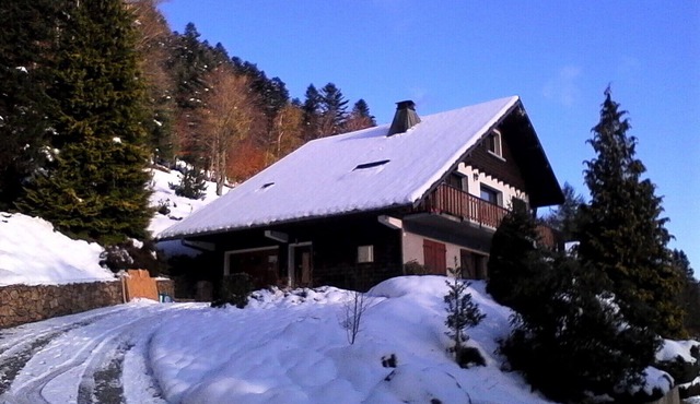 3-room apartment in "Les Pommes de Pin" chalet, with terrace and garden