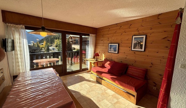 3-room apartment ski-in ski-out, balcony, sleeps 6 - Auris en Oisans