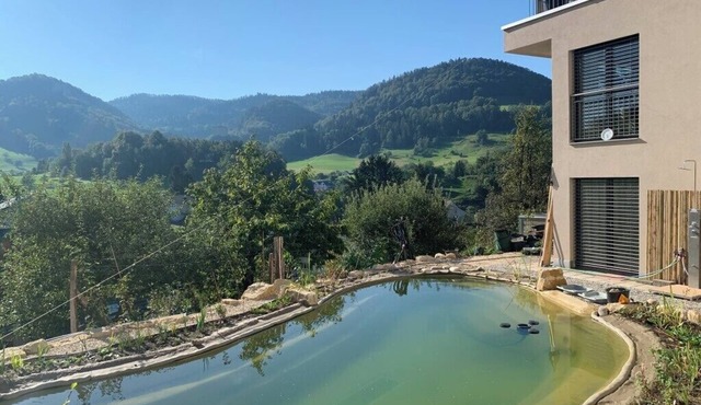 3 room apartment Villa Sonnglück by the natural swimming pond in the Swiss hiking Jura