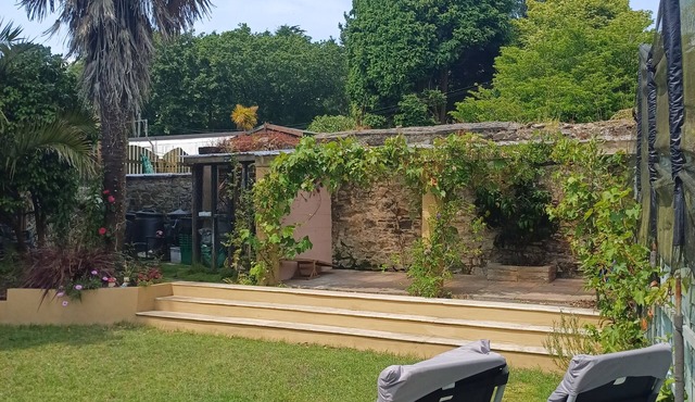 3 Room Bedsit Flat in Nat. Reserve. Pet friendly. Free return Eden taxi B4 9pm.