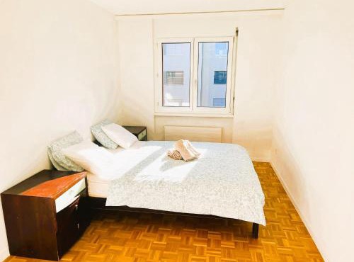 3 Room Flat with Balcony in Zurich, Kar