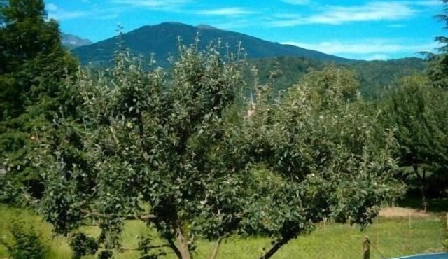 3-room guest house any comfort with private swimming pool, very quiet