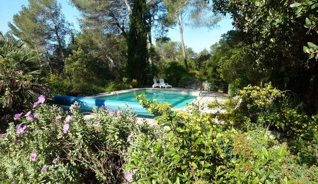 3-room house in the woods in Assas with swimming pool