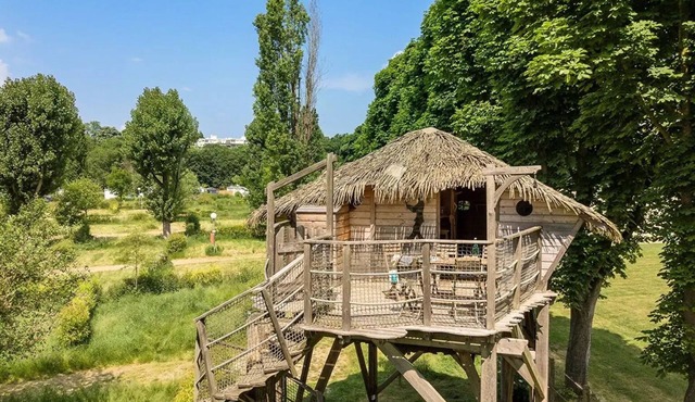 3-room Nautilus cabin sleeps 5