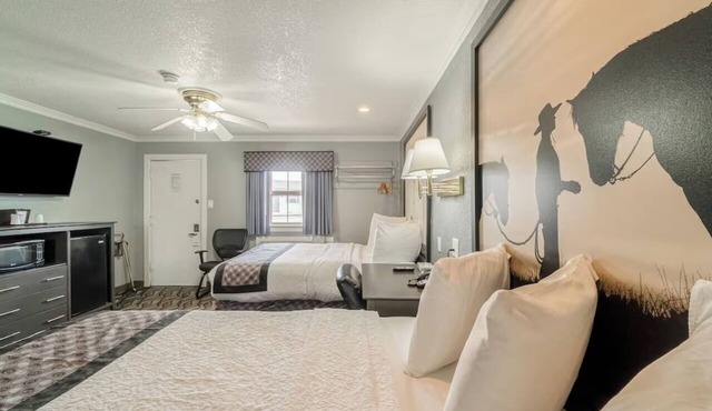 3 Rooms Available | Positioned by Local Parks & Trails + Free Parking