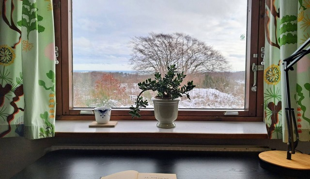 3 rooms with sea view and 3 min to forest