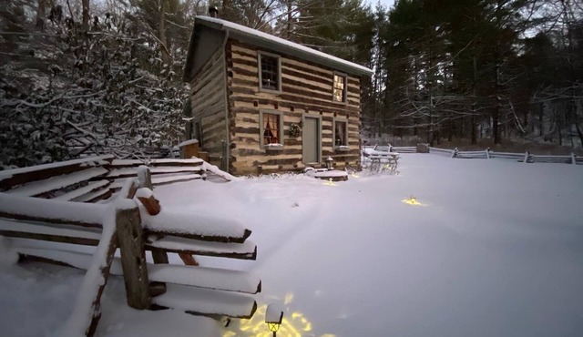 3 Sisters - Historic 1840 Pre-Civil War Log Cabin with sauna, hot tub & firepit!