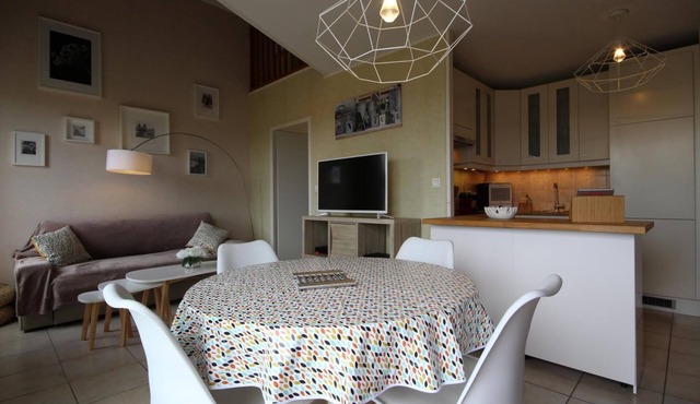 3 star furnished rental DIJON Golden Fleece
