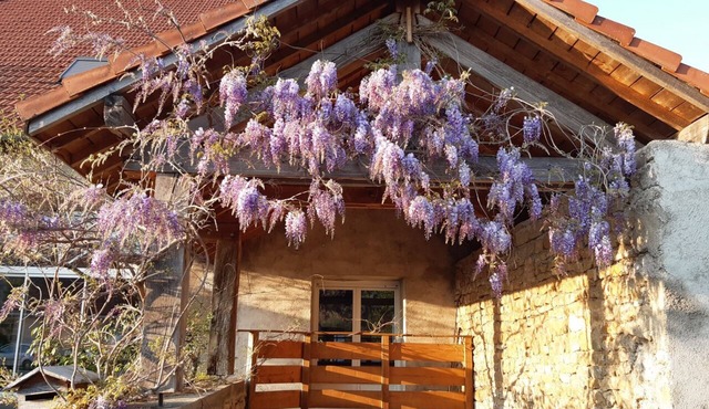 3-star furnished studio in the countryside, 5 minutes from the freeway.