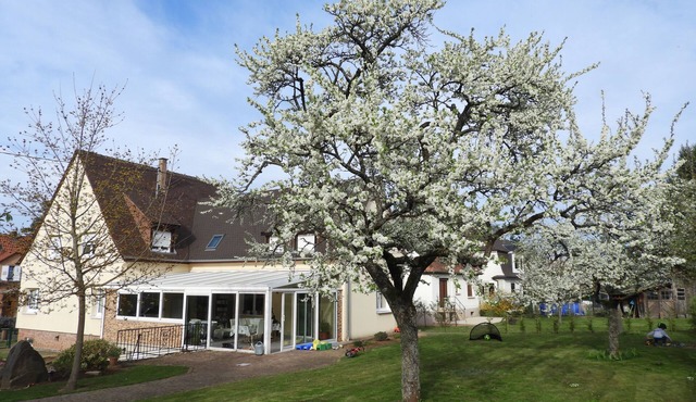 3 star villa/appartment in the heart of the vineyards with veranda and garden