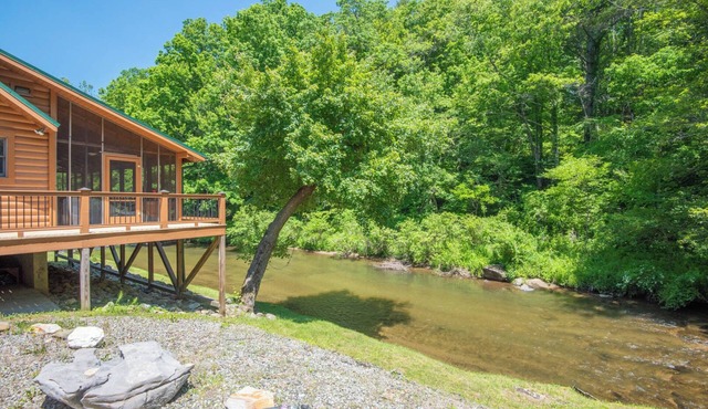 30+ Acres to Explore | Cabin at Cranberry Mill | Trout Stream Just Feet Away