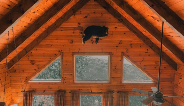 30 min from Blacksburg - Bear Foot Cabin on Walker Creek