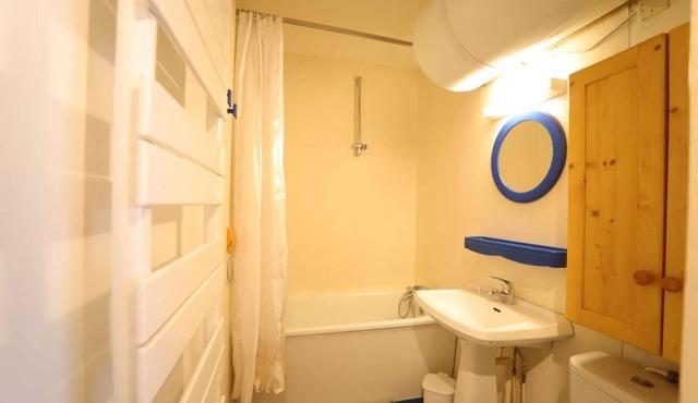 300m from ski slopes, view mountain, balcony, tv, ski locker, 55m², Auris en Oisans