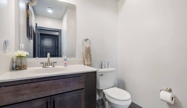 301 - Luxury Downtown Condo 1 bedroom