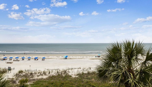 302 Turtle Lane Club ~ Amazing Oceanfront Views in Sea Pines