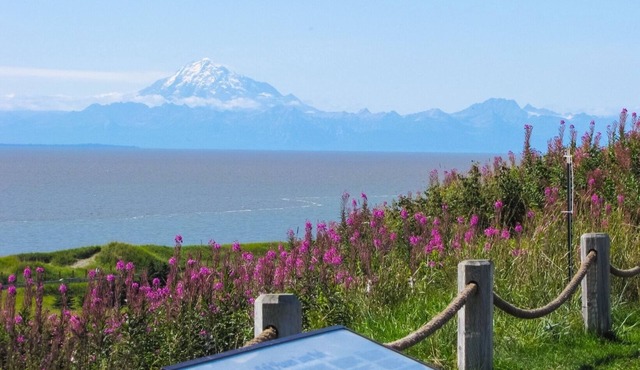 308 Bear Unit - Minutes from downtown Kenai just two blocks from the beach!