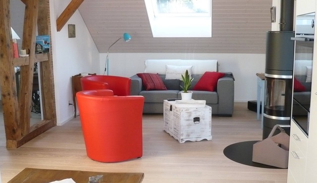 31/2 room attic apartment with large terrace, lake view, 200 m to the lake