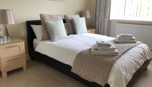 31 Queens Road Rental - Self-contained Apartment