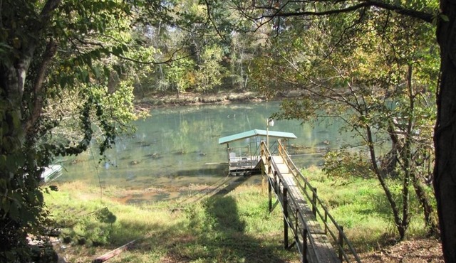 310 Feet of Little Red River. Trout Fishing World Renown!
