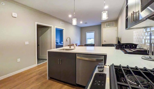 315 Brand New 1 Bedroom, 1 Bath, 1 Full Kit, 1 Liv