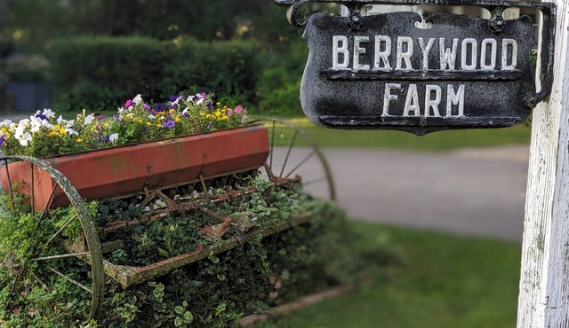 33 Acre Berrywood Farm, 3 Home Retreat with Pool, Bocce Court, Trails and Ponds