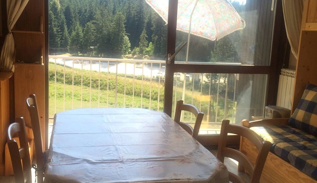 33m² Studio at the slopes, Pets allowed, South-facing balcony