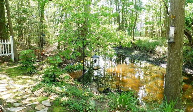 34039 Monterray Avenue - Clearwater