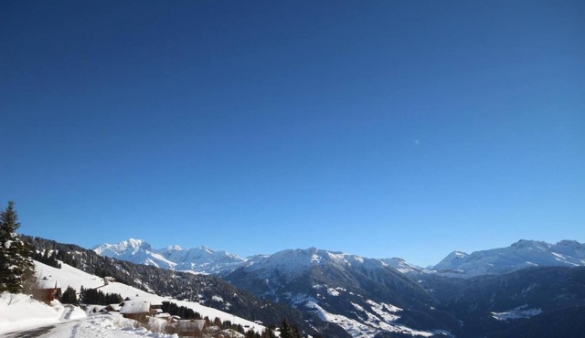 350m from shops, 3rd floor, view panoramic, swimming pool, balcony, parking, tv, ski locker, 89m²
