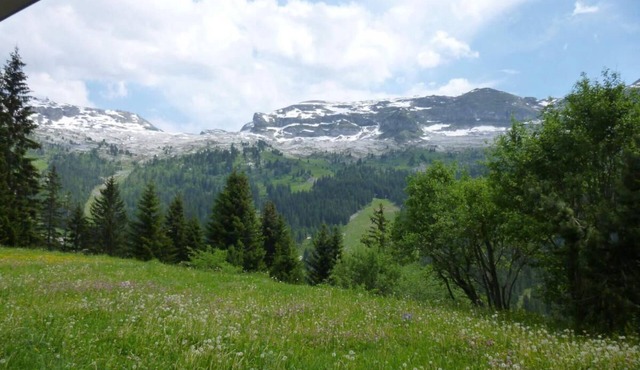 350m from ski slopes, 2nd floor, view ski slopes, balcony, tv, ski locker, 37m², Flaine