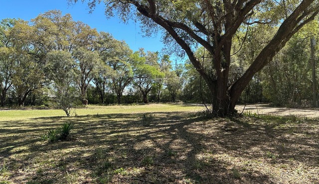 36’ Vintage Comfortable RV Screened Patio, 3 Acres 15min to Ocala & The Villages